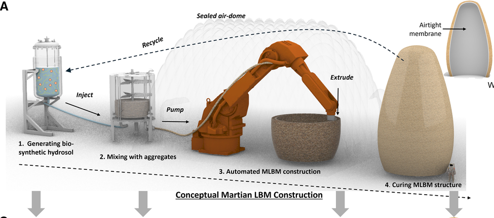 Proposed Martian Structure
